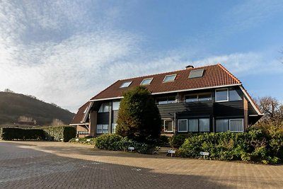 Ruim appartement in Zoutelande nabij strand