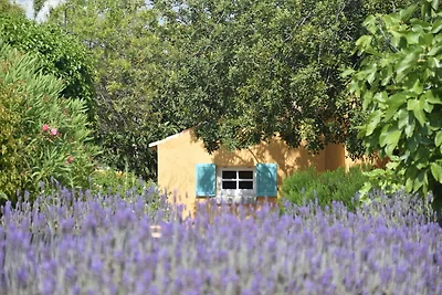 Herrliches Ferienhaus mit privater Terrasse