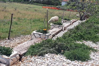 Nona Beta- Insel Krk