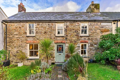 Cottage artistico Fishguard per 4 persone