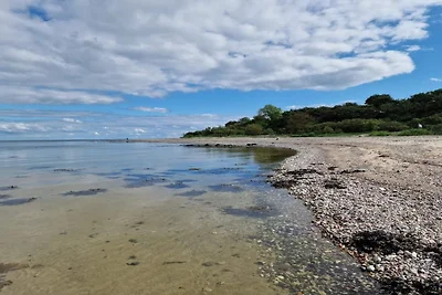 8 Personen Ferienhaus in Haderslev-By Traum