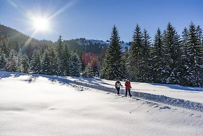 Brunner Apartment an der Skipiste