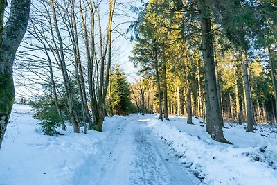 Gemütliches Chalet an den Skipisten