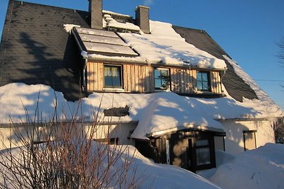 Ferienhaus Zinnwald groß