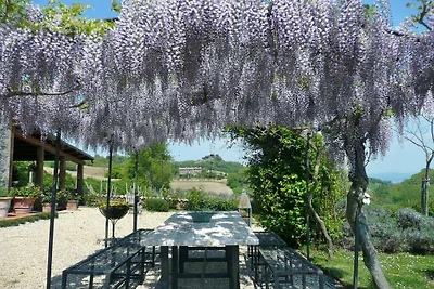 Ripa d'Elce, vakantieappartement "Gelsomino"