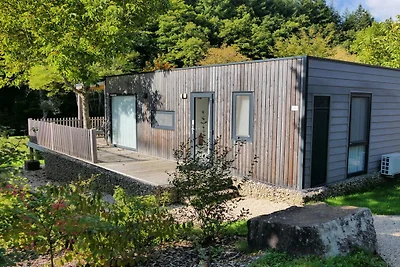 Ferienhaus in Eisenbach mit Terrasse