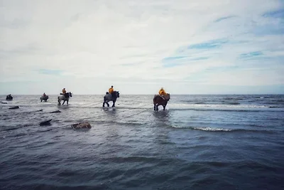 Appartement aan Belgische kust met zeezicht