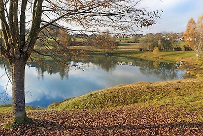 Appartamento a Neuschönau a 300 m dal lago