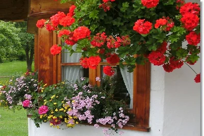 Enzian im Ferienhaus Wendelstein