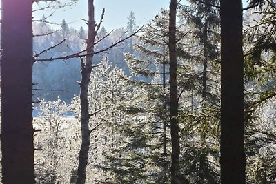 10 Personen Ferienhaus in BÄCKEFORS