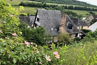 Ferienwohnung in Zell mit Schwimmbecken
