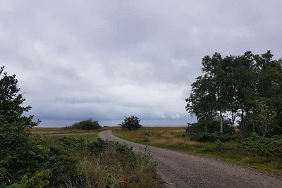 8 Personen Ferienhaus in Hadsund-By Traum