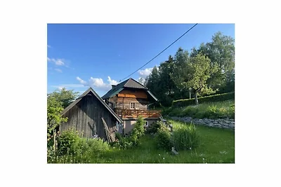 La capanna di montagna di Andi