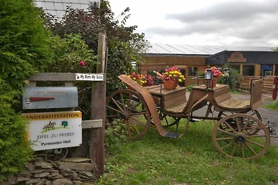 Vakantiehuis in Roes met zwembad
