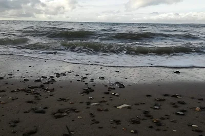 Gerestaureerde Cottage bij Toftum -- By Traum...