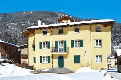 Wohnung in Pellizzano mit Heizung