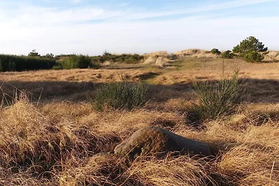 8 Personen Ferienhaus in Store Fuglede-By...