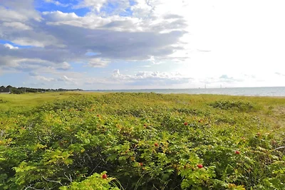 8 persoons vakantie huis in Slagelse-By Traum