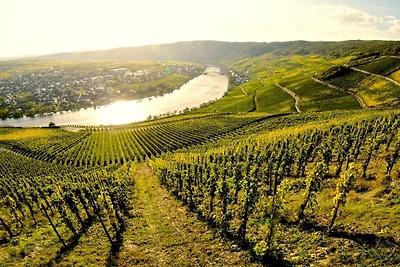 Winzerhaus Wehlener Sonnenuhr
