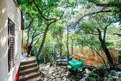 Kuća za odmor Dopust za oporavak Posedarje