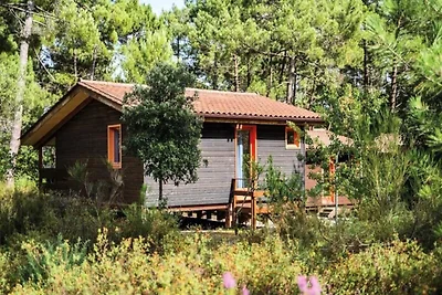 Wohnung im Pinienwald nahe Ozean