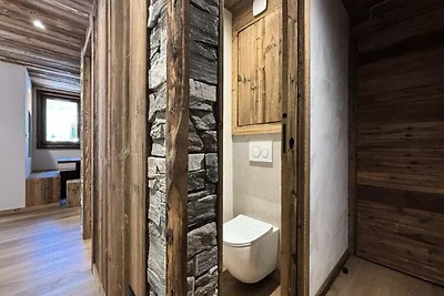 Volledig gerenoveerd appartement, ski-in/ski-...