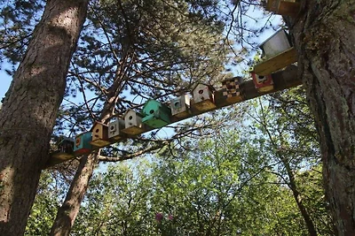 Casa vacanze Les Colombines