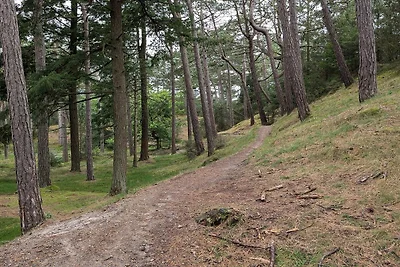 4 Personen Ferienhaus in Oksbøl-By Traum