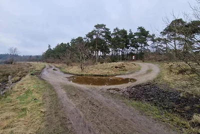 6 Personen Ferienhaus in Silkeborg-By Traum
