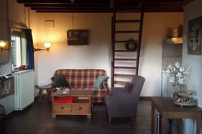 Ferienhaus in Schijf mit Garten