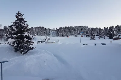 Wohnung in Chamrousse nahe Skipisten