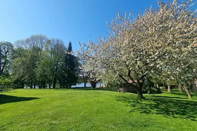 Nella regione (estate) (>5 km) Nella regione (estate) (>5 km)