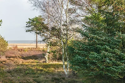 5 Personen Ferienhaus in Rømø-By Traum