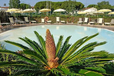 Appartamento in Toscana vicino a spiagge e...