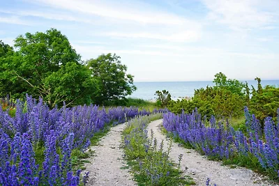 4 Sterne Ferienhaus in Burgsvik