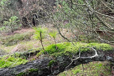 Abgeschiedene 60er Cottage -- By Traum...