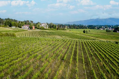 Villa in Monte San Quirico mit Garten