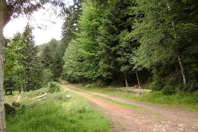 Gîte mitten im Grünen an einem Bach gelegen