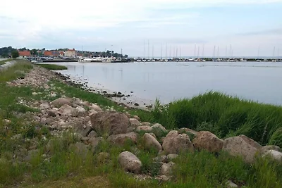 8 Personen Ferienhaus in Hejls