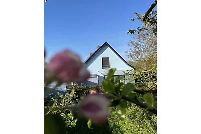 Vakantiehuis in Wildberg met 1 slaapkamer