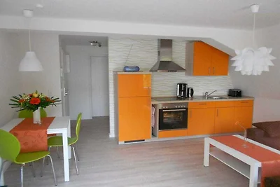 Gabbiano comune nella Haus Glückauf