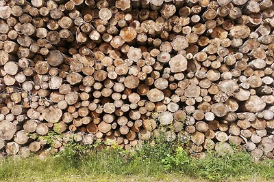 4 Personen vakantie huis in Læsø