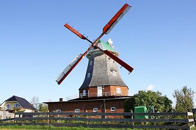 Holländer Windmühle in Neubukow-ehem. TUI