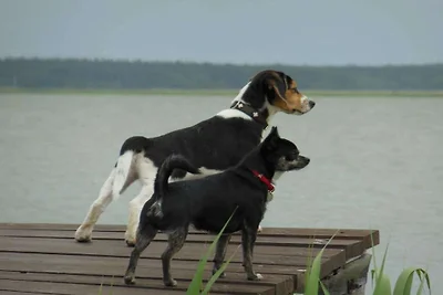 Holiday apartment with 1 bedroom