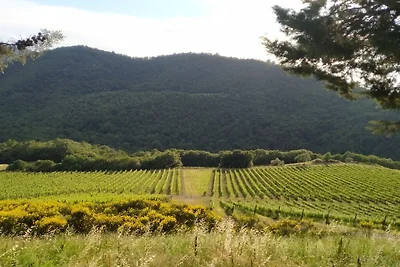 APPARTAMENTO VISTA VIGNETI