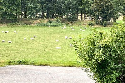 4 Sterne Ferienhaus in Romelanda