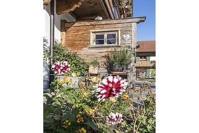Apartament wakacyjny z 1 sypialnią