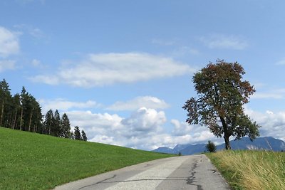 Mooi appartement nabij Wörthersee