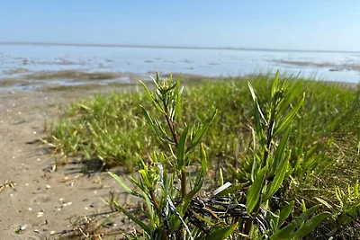 Kuća za odmor Dopust za oporavak Danska