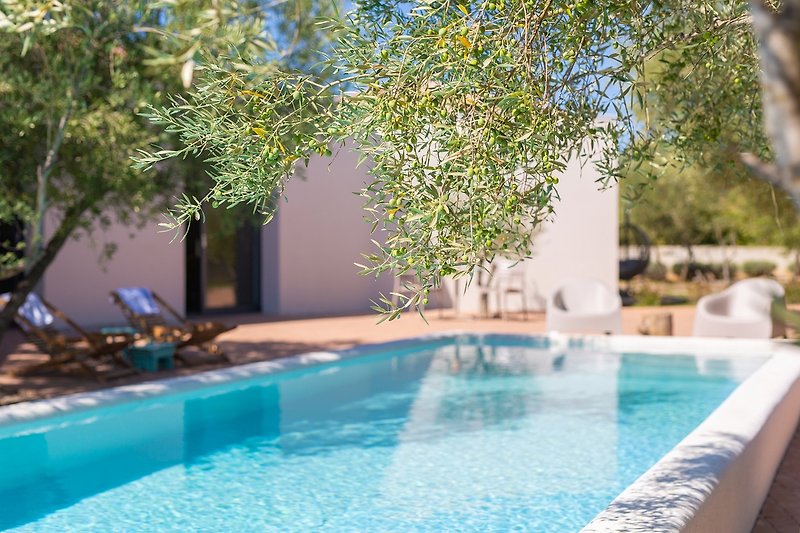 Schwimmbad mit blauem Wasser und grüner Landschaft. Entspannen Sie sich in diesem Resort!